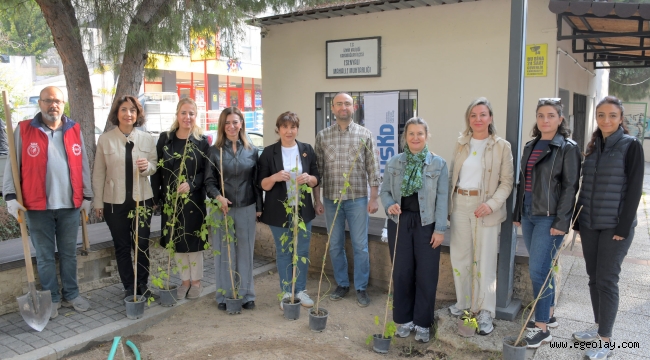 USKD Selluka Çiçeğini Yeni Nesillere Tanıtıyor
