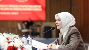 Bakan Göktaş, Roman vatandaşlara yönelik strateji belgesi ve eylem planıyla ilgili toplantıda konuştu 