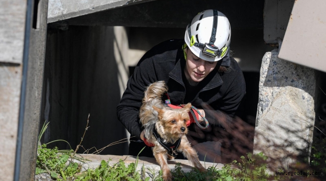 Afetlerde mahsur kalan hayvanlar unutulmayacak 