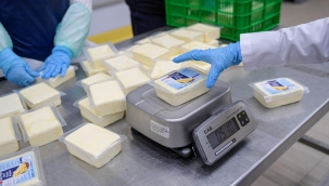 Büyükşehir’den peynir hamlesi 