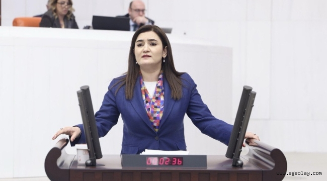 CHP İzmir Milletvekili Sevda Erdan Kılıç; "İşkence İddiasını Tutanağa Geçiren Avukatı Gözaltına Aldılar" 