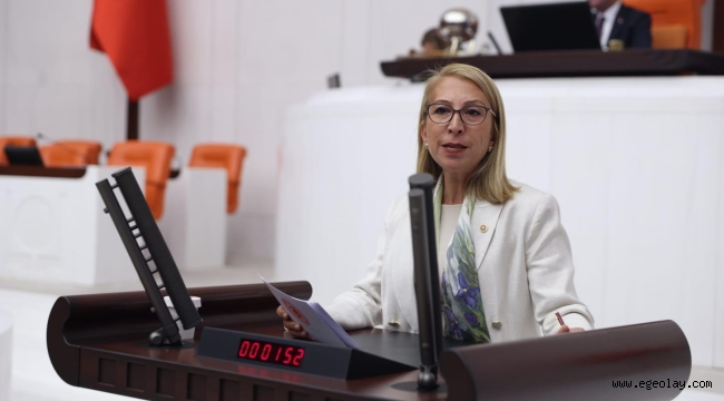 CHP'li Öneş Derici Sel Mağduru Üreticiler İçin Verdiği Önerge İle İlgili Bakanlığı Göreve Çağırdı