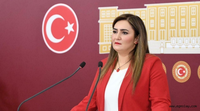 CHP'li Sevda Erdan Kılıç: "Hiçbir unvan çocuk istismarı iddialarının üzerini örtemez" 
