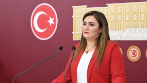 CHP'li Sevda Erdan Kılıç: "Hiçbir unvan çocuk istismarı iddialarının üzerini örtemez" 