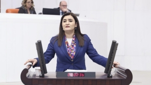 CHP Milletvekili Sevda Erdan Kılıç: "Epstein Belgelerini Meclis Kürsüsüne Taşıdı"