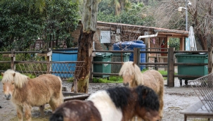 İzmir'de yağmur suyu hasadı yaygınlaşıyor 