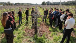 Buca'nın bağlarında geleceğin ziraat mühendisleri yetişiyor 