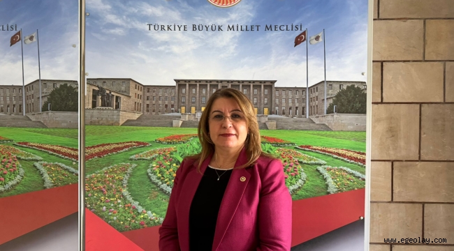 CHP'li Gülizar Biçer Karaca'dan Görele İçin Araştırma Komisyonu Önergesi