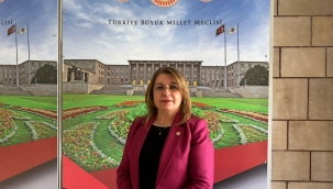 CHP'li Gülizar Biçer Karaca'dan Görele İçin Araştırma Komisyonu Önergesi