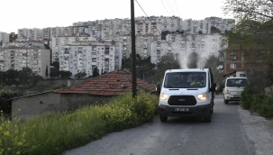 Çiğli'de Sivrisinek ve Haşerelere Karşı Etkin Önlem 