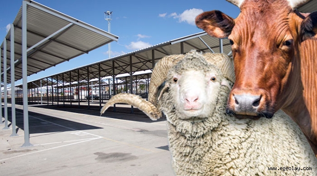 Vekalet yoluyla kurban kesim bedelleri belirlendi 