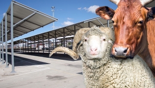 Vekalet yoluyla kurban kesim bedelleri belirlendi 