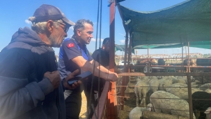 Çiğli'de Kurban Bayramı Denetimleri Aralıksız Sürüyor 