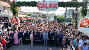 Çilek tadında festival, milyonu aşkın misafir ağırladı