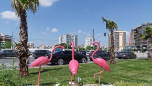 İzmir yaza çiçek açarak hazırlanıyor
