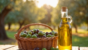 Erken Hasat Zeytinyağı ile Olgun Hasat Arasındaki Farklar Nelerdir? 