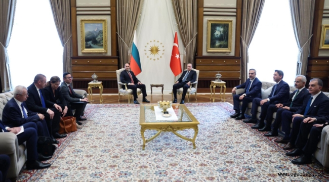 Cumhurbaşkanı Erdoğan'ın NATO Zirvesi öncesi diplomasi trafiği başladı 