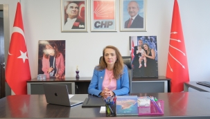 Gamze Akkuş İlgezdi: 