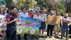İzmir Suat Seren Göğüs Hastalıkları Hastanesinde Ağaçların Kesimi Durdurulsun